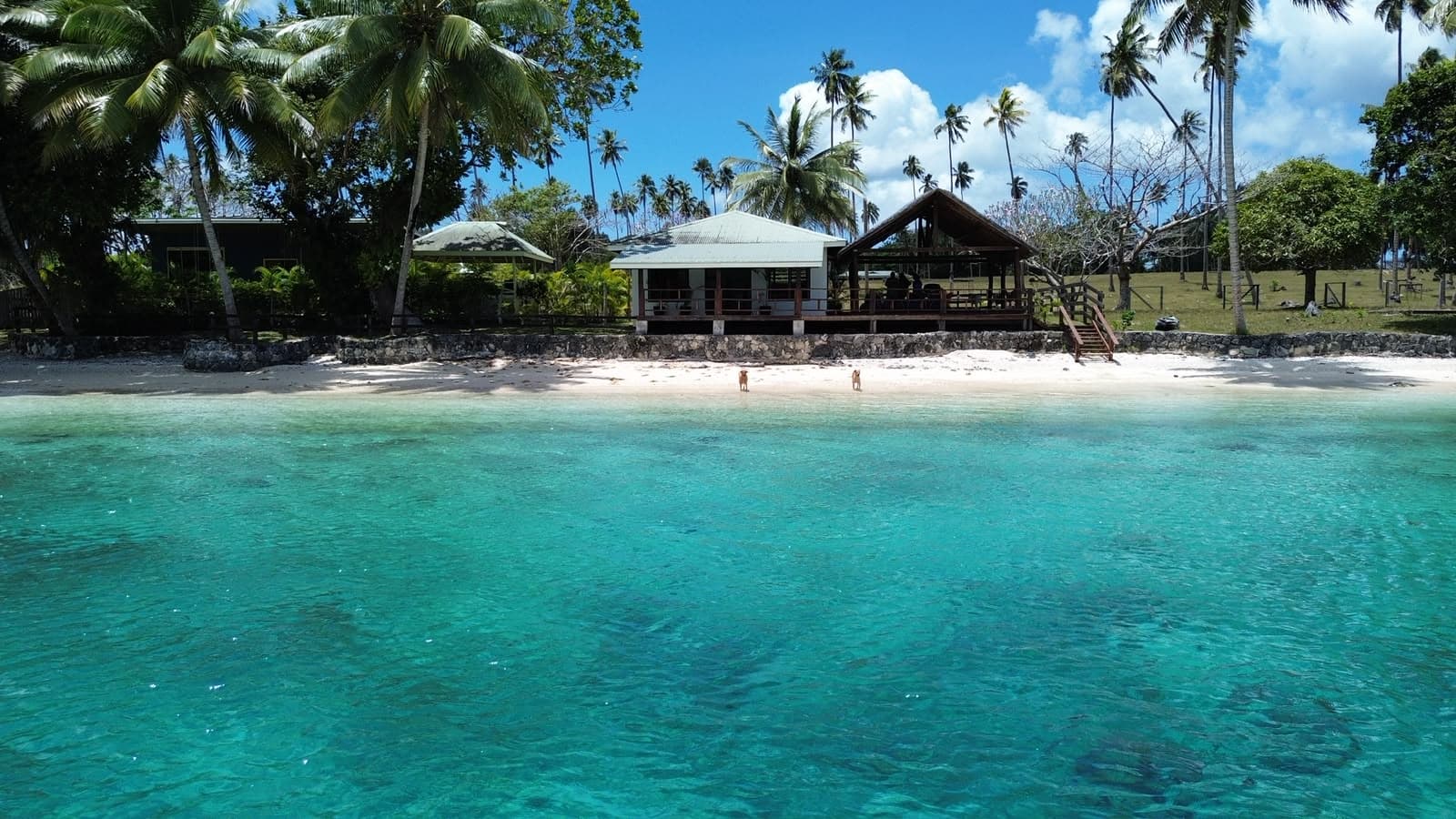 Lapita Beach Villa seen from the turquoise lagoon — beachfront studio accommodation on Aore Island, Vanuatu
